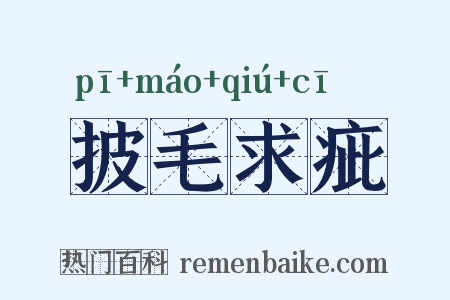 披毛求疵是什么意思的图片